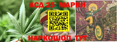 кокаин Гатчина