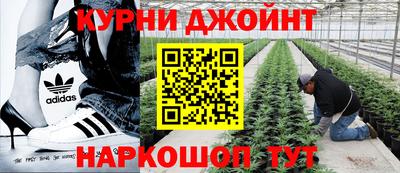 кокаин Гатчина