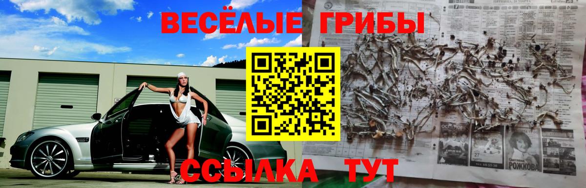 Псилоцибиновые грибы Psilocybine cubensis  купить наркотики сайты  Рыбинск  Галлюциногенные грибы GOLDEN TEACHER  Вход с VPN 