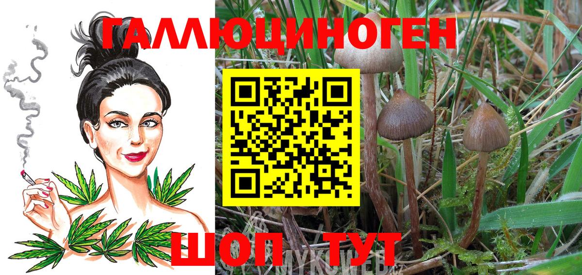 Псилоцибиновые грибы GOLDEN TEACHER Рыбинск